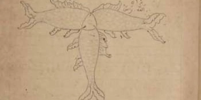 14 1