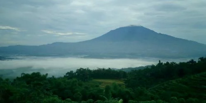 desa darma