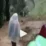 Video Detik-detik Tanah Bergerak di Lokasi Longsor Beredar Viral di Medsos (Foto Tangkap Layar Video Instagram)