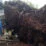 Longsor di Kampung Baru, Desa Cibeureum, Kecamatan Cisarua, Kabupaten Bogor, Rabu (20/1/2021).