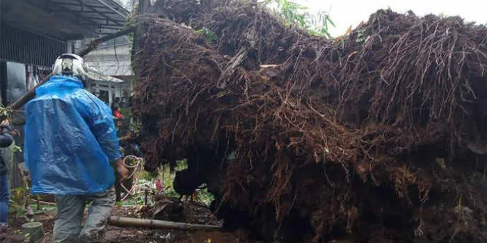 Longsor di Kampung Baru, Desa Cibeureum, Kecamatan Cisarua, Kabupaten Bogor, Rabu (20/1/2021).