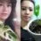 Janda bolong, tanaman hias yang lagi naik daun karena memiliki harga yang cukup fantastis./SC IG @priscilla.dowling dan@firohfloravarigata