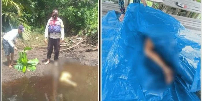Potongan kaki diduga milik korban bernama Nayan (47) warga Kalimantan Tengah ditemukan oleh warga setempat di Sungai Sebangau akibat dimangsa buaya.