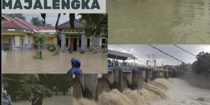 Jepretan Layar 2021 02 08 pukul 13.15.11