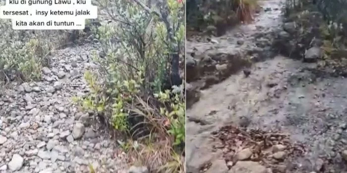 merinding pengalaman pria dituntun burung jalak di gunung lawu saat tersesat59 700
