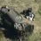 woods rollover crash kabc jef 210223 1614109906286 hpMain 16x9 992