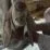 202103172348 main.cropped 1615999759