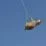 210312125724 04 rhino airlift namibia exlarge 169