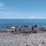 IMG 20210323 WA0004