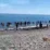 Warga Serbu Pantai cari emas 3