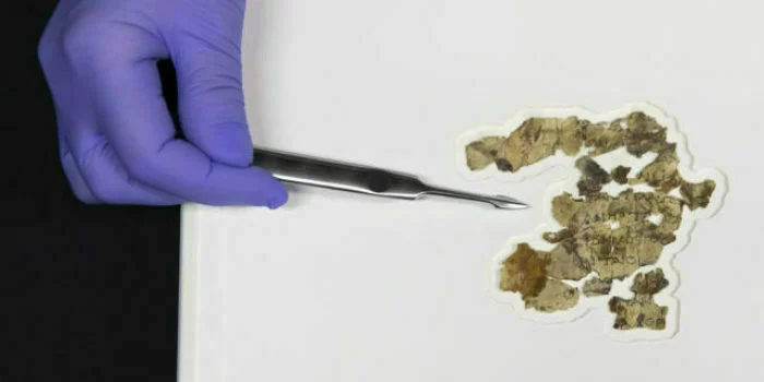 dead sea scrolls ap21075340494846