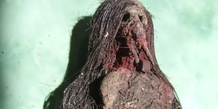 penemuan jenglot di makam buyut akasah kudus 169
