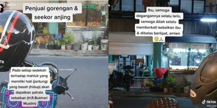 16431 aksi mulia ibu berhijab beri makan anjing gorengan banjir pujian