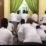 gempar tarawih 6 menit di indramayu mui bakal utus ustaz menasehati tbq