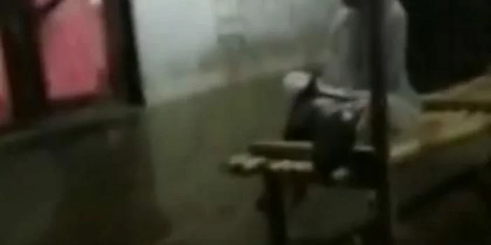 penampakan tetangga yang katanya meninggal 7 hari lalu