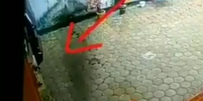 warga meulaboh aceh dihebohkan kabar kemunculan babi ngepet kehebohan ini bermula dari sebuah sosok bayangan bergerak yang ter 34