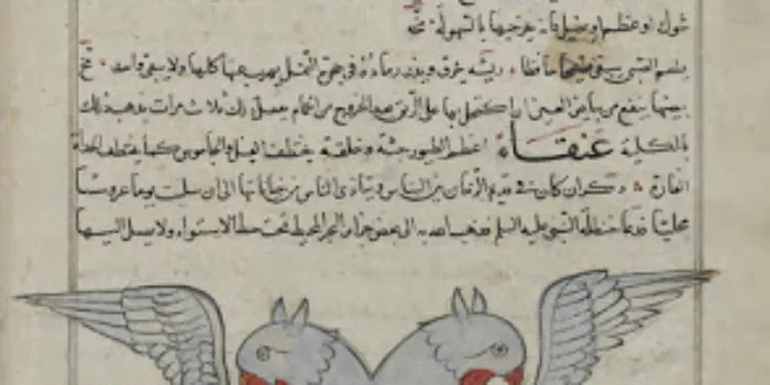 ANGAN 1