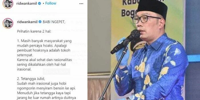 Ridwan Kamil prihatin atas kasus babi ngepet