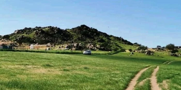 tampak hamparan hijau di perbukitan makkah 181212183809 228