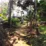 kampung unik