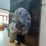 WhatsApp Image 2021 10 03 at 10.47.52