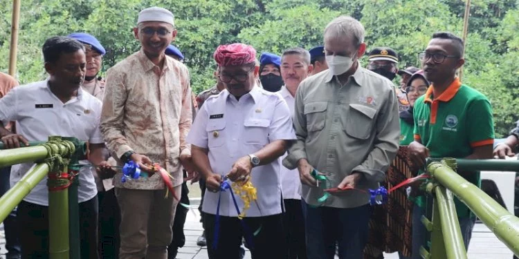 Ada Beberapa Hal yang Harus Dipenuhi Ekowisata Mangrove Pengarengan, Begini Penjelasan Bupati Cirebon 1