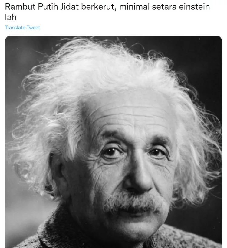 meme rambut putih di twitter buatan netizen 10