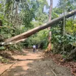 Jalan sepetak tanah yang dilewati pun diperkirakan telah ada sejak abad ke-13.