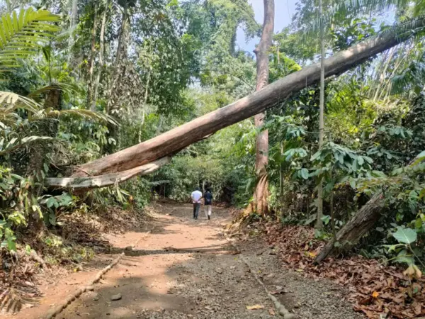 Jalan sepetak tanah yang dilewati pun diperkirakan telah ada sejak abad ke-13.
