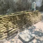 Makam keramat di Pabrik Gula Karang Suwung, Cirebon