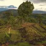 Gunung Padang